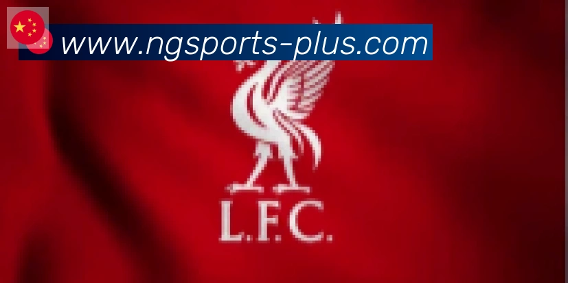 南宫体育合作伙伴